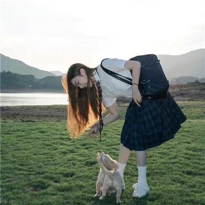 燕子不再归来